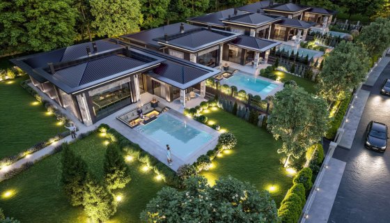 Violetta CAVALLI  İncek